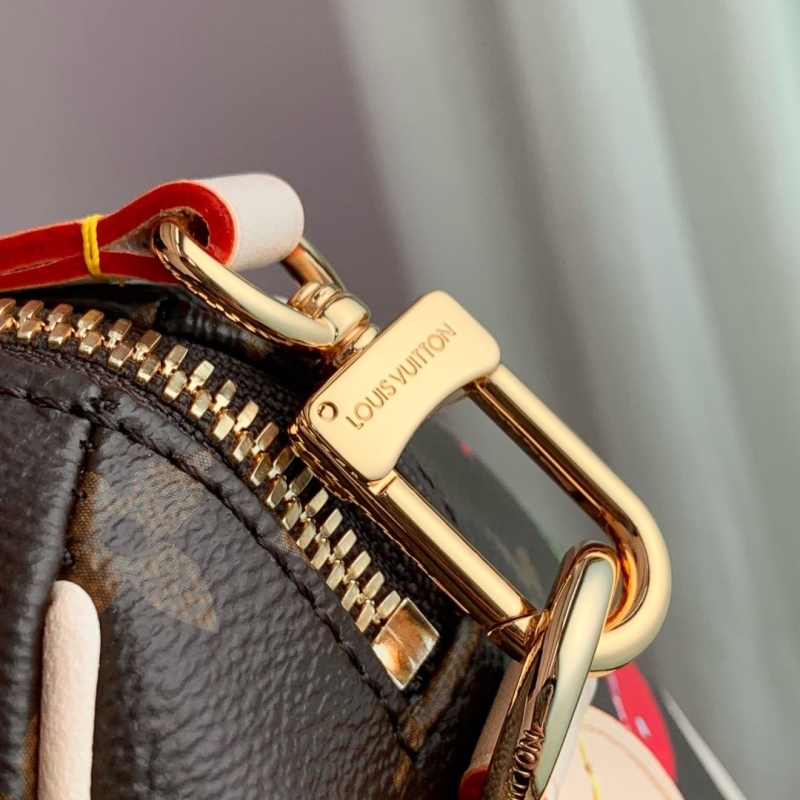 LV Speedy Bags